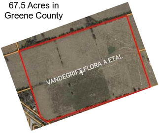 67.5 Acres in Greene County