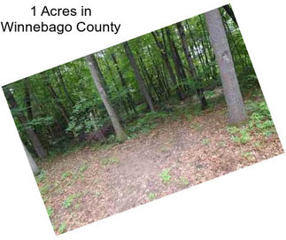 1 Acres in Winnebago County