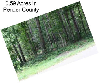 0.59 Acres in Pender County