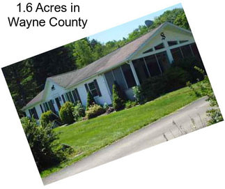 1.6 Acres in Wayne County