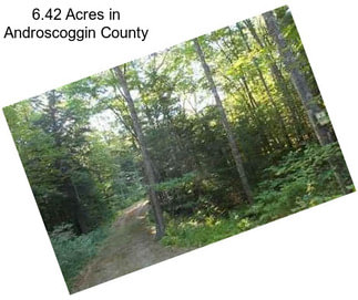 6.42 Acres in Androscoggin County
