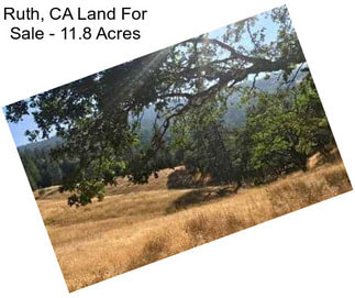 Ruth, CA Land For Sale - 11.8 Acres