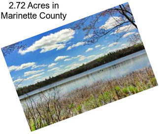 2.72 Acres in Marinette County