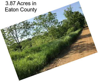 3.87 Acres in Eaton County