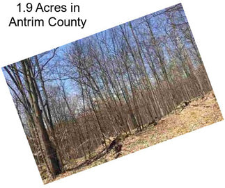 1.9 Acres in Antrim County