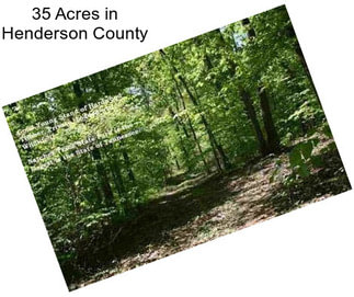 35 Acres in Henderson County