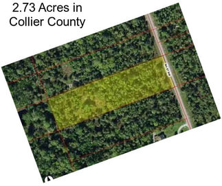 2.73 Acres in Collier County