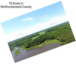 76 Acres in Northumberland County