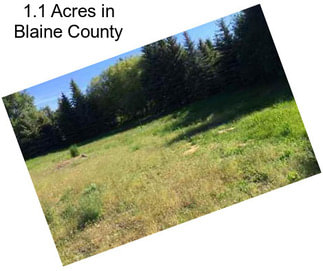 1.1 Acres in Blaine County