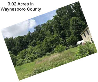 3.02 Acres in Waynesboro County