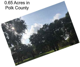 0.65 Acres in Polk County