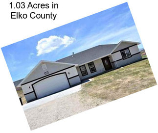 1.03 Acres in Elko County