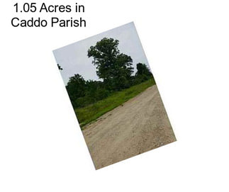 1.05 Acres in Caddo Parish