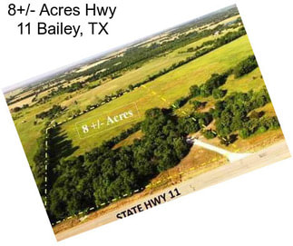 8+/- Acres Hwy 11 Bailey, TX