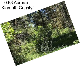 0.98 Acres in Klamath County