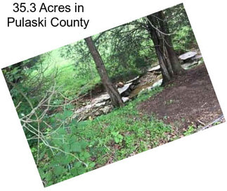 35.3 Acres in Pulaski County