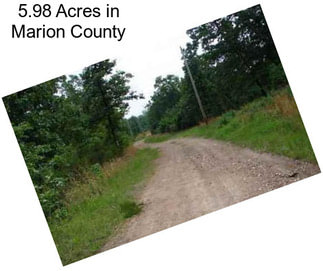 5.98 Acres in Marion County