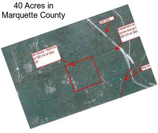 40 Acres in Marquette County