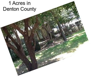 1 Acres in Denton County