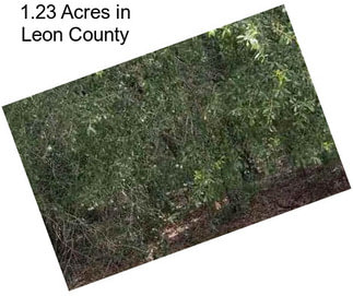 1.23 Acres in Leon County