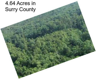 4.64 Acres in Surry County