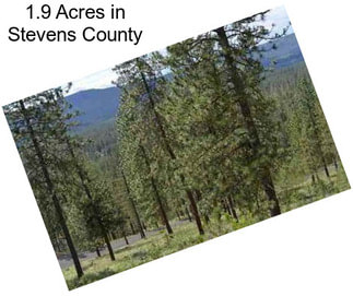 1.9 Acres in Stevens County