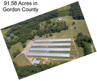 91.58 Acres in Gordon County