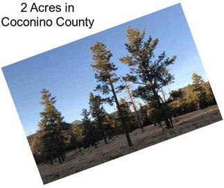 2 Acres in Coconino County