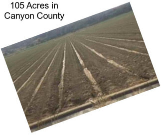 105 Acres in Canyon County