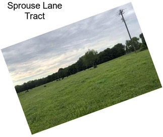 Sprouse Lane Tract