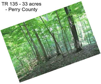 TR 135 - 33 acres - Perry County