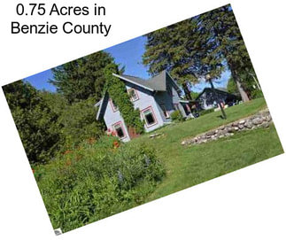 0.75 Acres in Benzie County