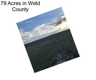 79 Acres in Weld County
