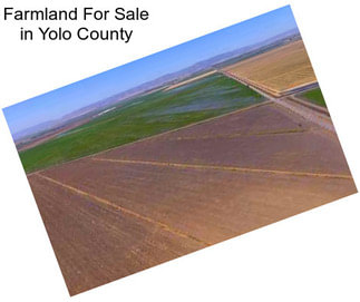 Farmland For Sale in Yolo County