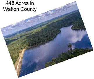 448 Acres in Walton County