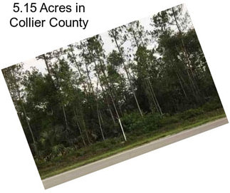 5.15 Acres in Collier County
