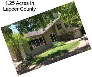 1.25 Acres in Lapeer County