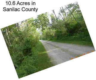 10.6 Acres in Sanilac County