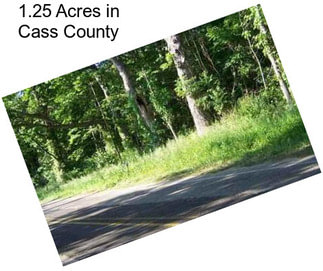 1.25 Acres in Cass County