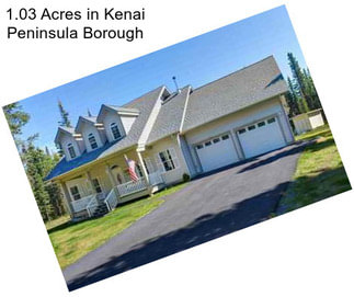 1.03 Acres in Kenai Peninsula Borough