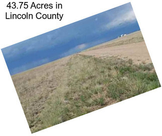 43.75 Acres in Lincoln County