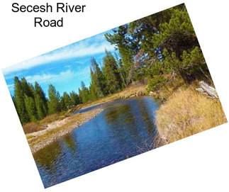 Secesh River Road