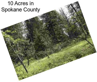 10 Acres in Spokane County