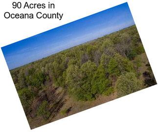 90 Acres in Oceana County