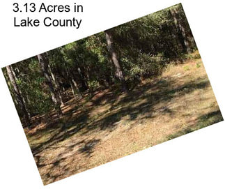 3.13 Acres in Lake County