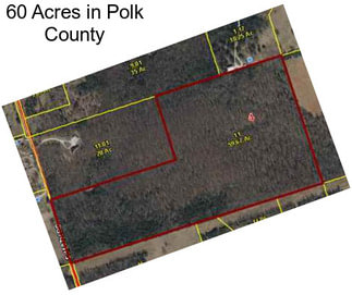 60 Acres in Polk County