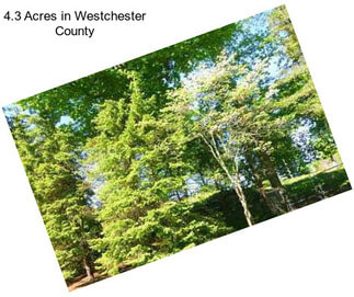 4.3 Acres in Westchester County