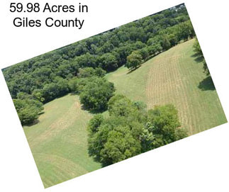 59.98 Acres in Giles County