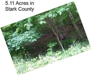 5.11 Acres in Stark County