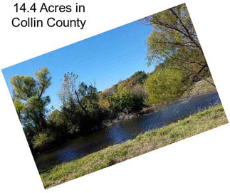 14.4 Acres in Collin County